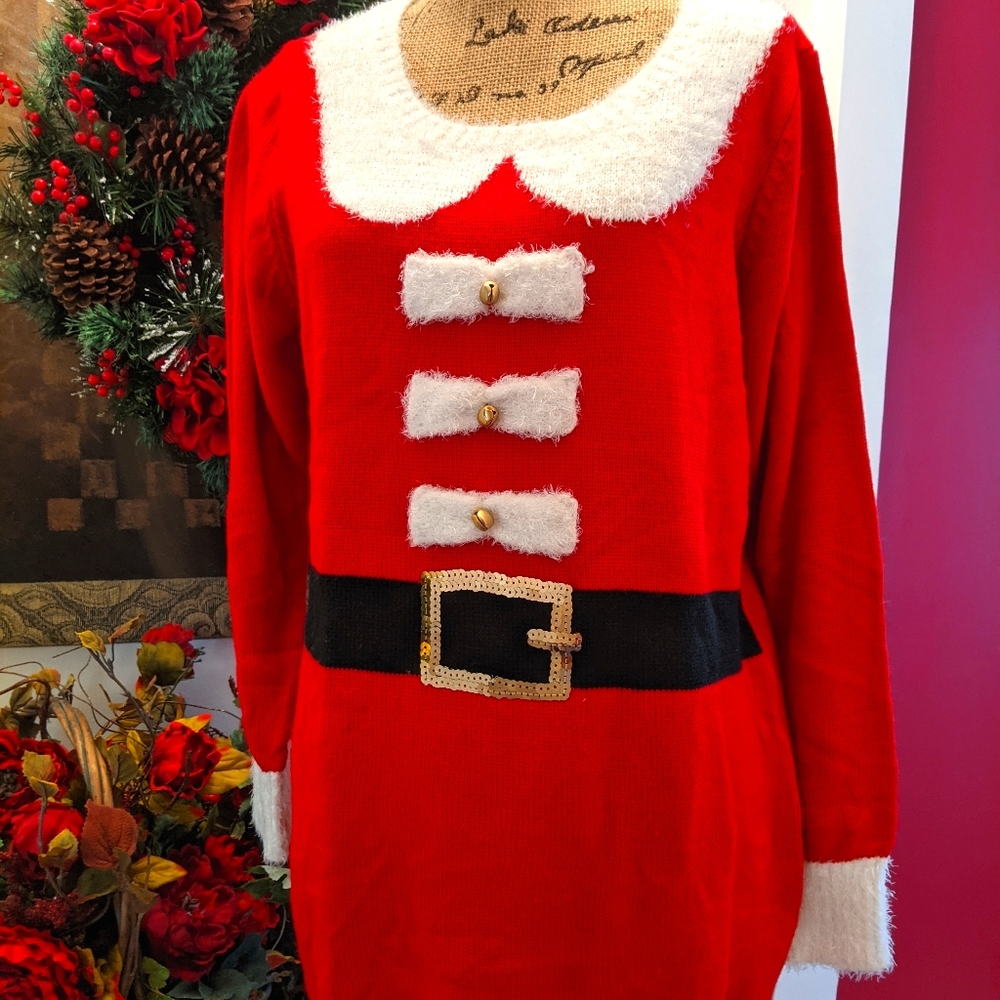 Santa Sweater Lg